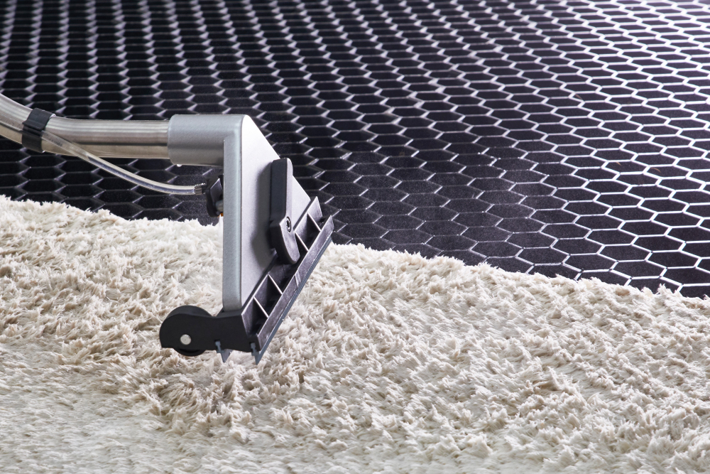 The Importance of Regular Carpet Cleaning for a Healthy Home